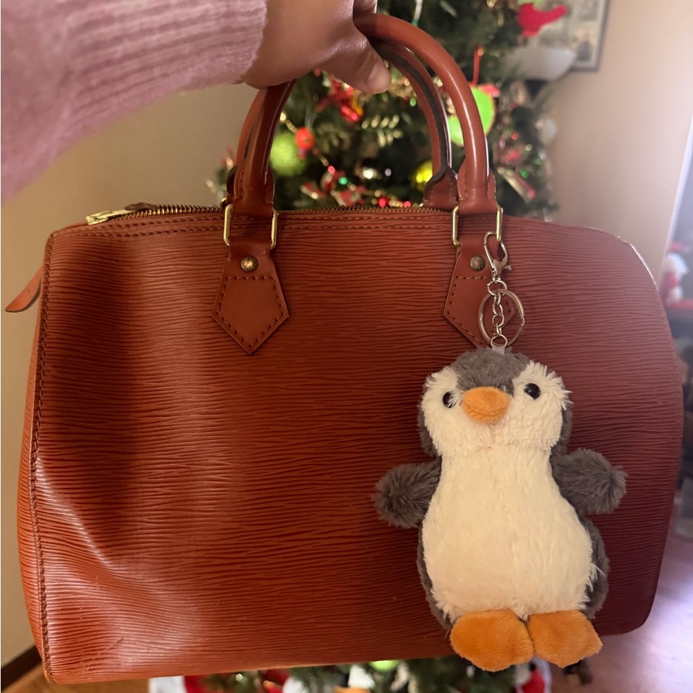 LV brown leather epi speedy